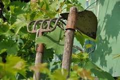 Cliquez sur la vignette pour l'agrandir